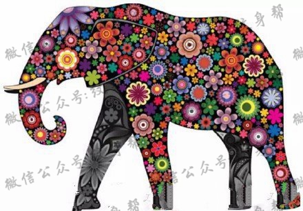 手稿梵花大象纹身图案