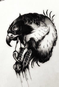 手稿的老鹰纹身图案