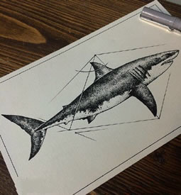 手稿大鲸鱼纹身图案