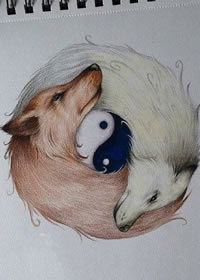 手稿狐狸八卦纹身图案