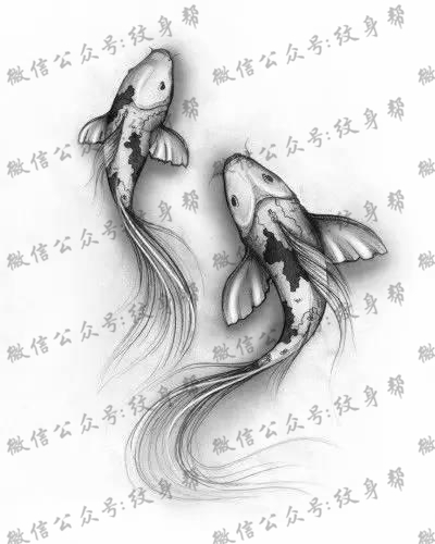 双鱼座纹身手稿_45张十二星座之双鱼手稿纹身图案