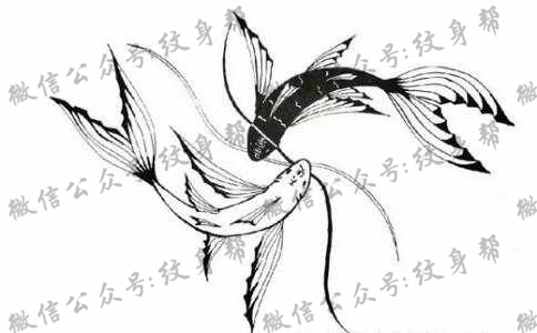 双鱼座纹身手稿_45张十二星座之双鱼手稿纹身图案