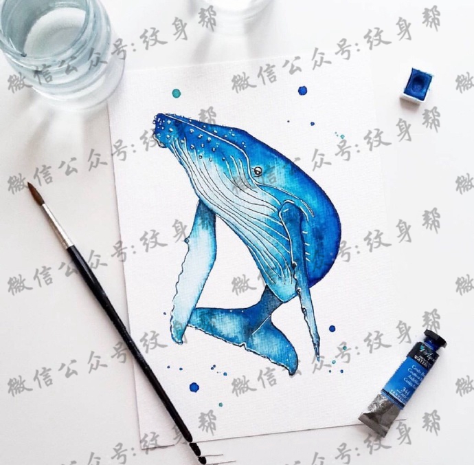 鲸鱼纹身手稿_十几张水彩鲸鱼手稿纹身图案素材
