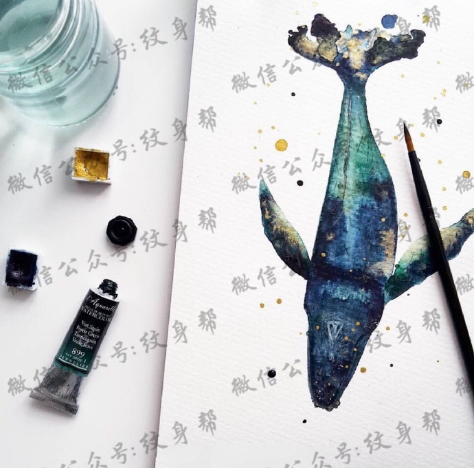 鲸鱼纹身手稿_十几张水彩鲸鱼手稿纹身图案素材