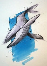 手稿鲸鱼纹身图案