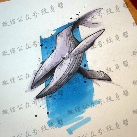 手稿鲸鱼纹身图案