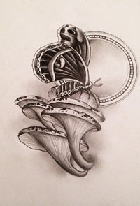 手稿蝴蝶蘑菇纹身图案