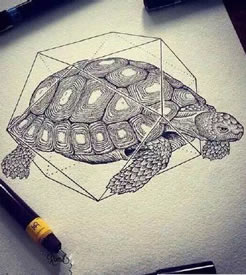 手稿的乌龟纹身图案