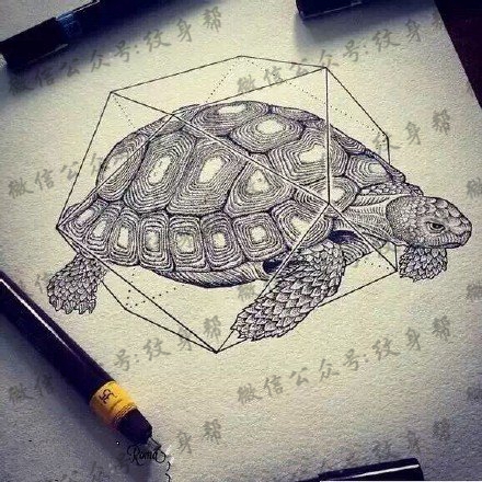 手稿的乌龟纹身图案