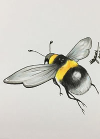 手绘的小蜜蜂纹身图案