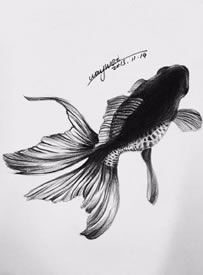 手绘金鱼纹身图案