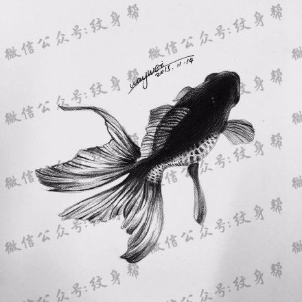 手绘金鱼纹身图案