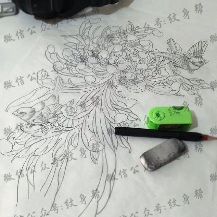 素描的大菊花纹身图案