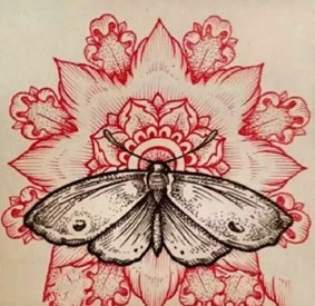 手稿梵花飞蛾纹身图案