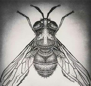 点刺的小蜜蜂纹身图案