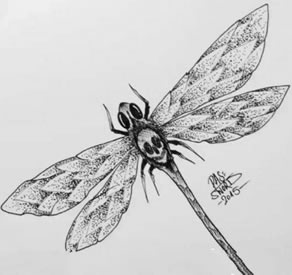 骷髅蜻蜓纹身图案