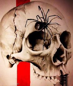 逼真的骷髅蜘蛛纹身图案