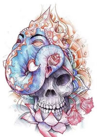 手稿素描象神骷髅纹身图案