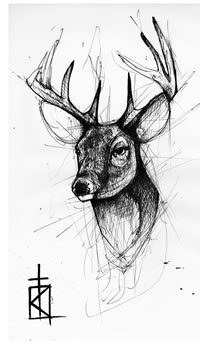 手稿线条鹿纹身图案