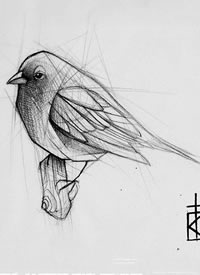 手稿线条鸟儿纹身图案