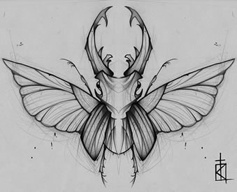 手稿线条飞蛾纹身图案
