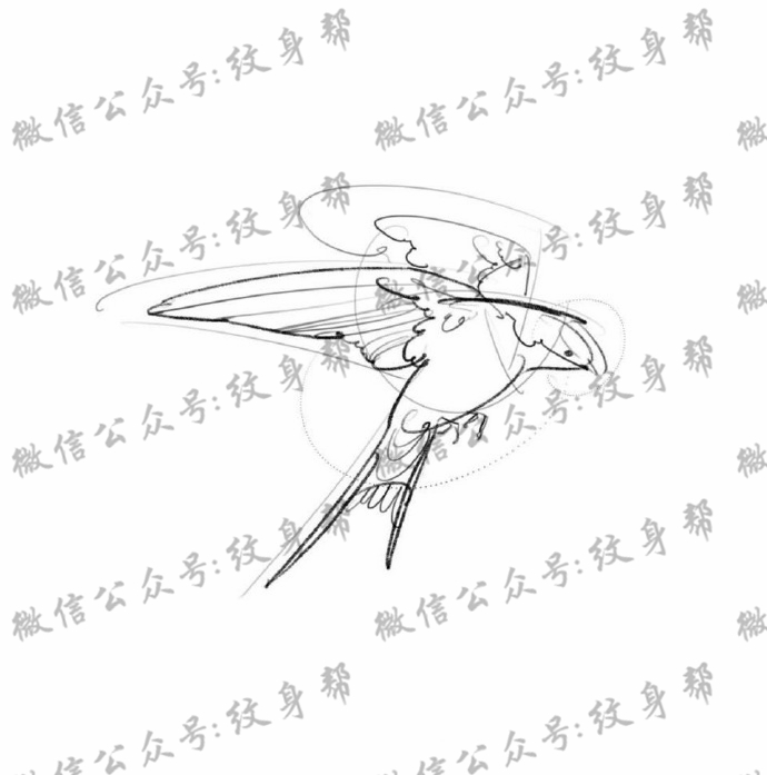 速写纹身手稿_一组23张简约速写纹身手稿图案