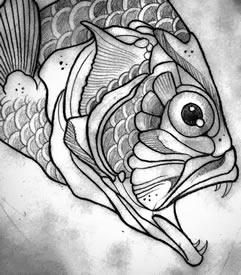 素描的鲤鱼纹身图案