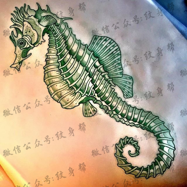 手稿翼龙骷髅纹身图案