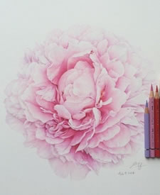 手稿清新的牡丹纹身图案