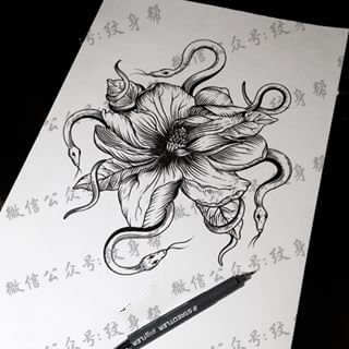手稿蛇花纹身图案