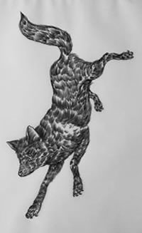 手臂奔跑的狐狸纹身图案
