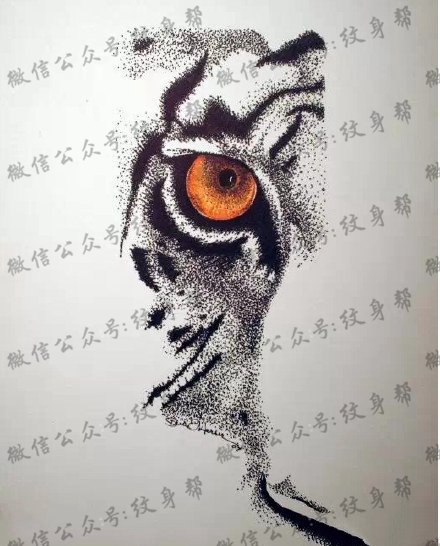 手稿点刺老虎眼睛纹身图案