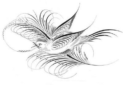 手稿精致的鸟纹身图案