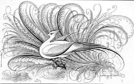 手稿精美的孔雀纹身图案