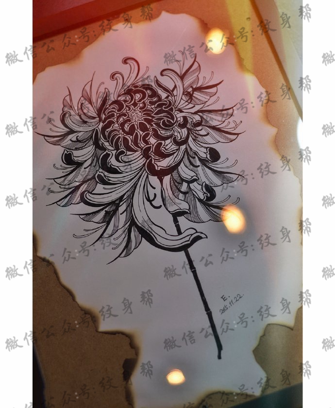 手稿黑菊花纹身图案