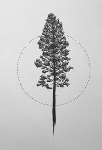 手稿一颗小松树纹身图案