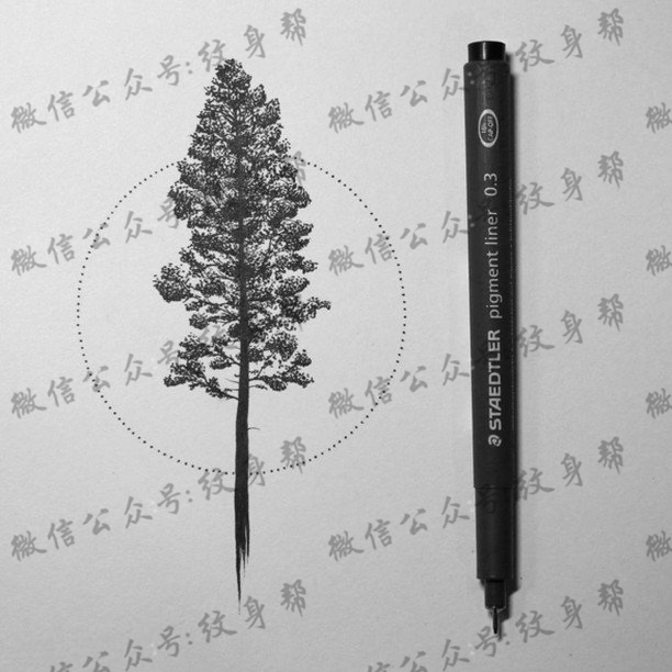 手稿一颗小松树纹身图案