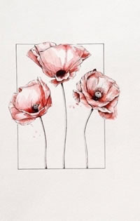 水彩三只罂粟花纹身图案