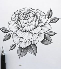 手稿荆棘的玫瑰纹身图案