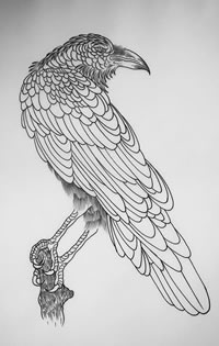手稿线条乌鸦纹身图案