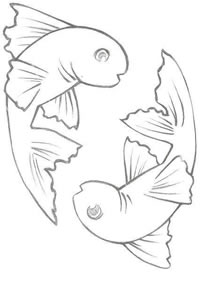 手稿素描两条鱼纹身图案