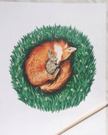 手稿狐狸母子纹身图案