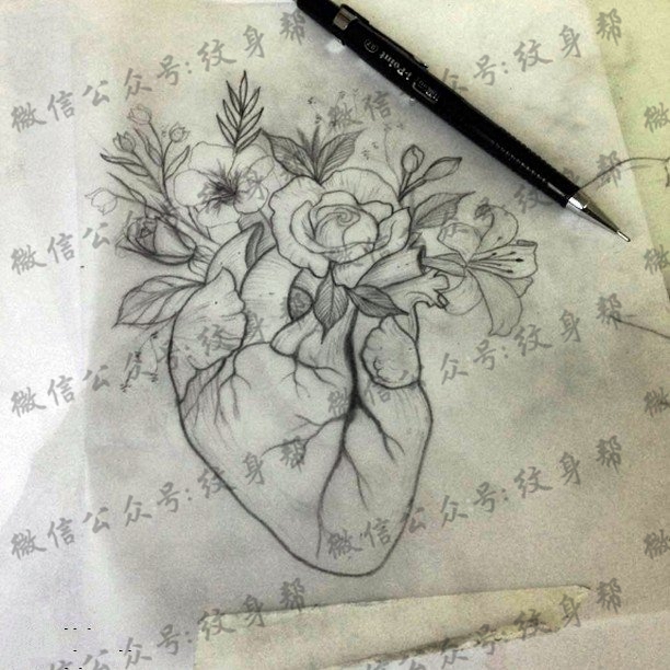 手稿素描心脏花纹身图案