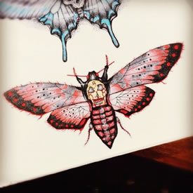 手稿彩绘飞蛾纹身图案