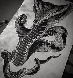 手稿逼真写实的蛇纹身图案