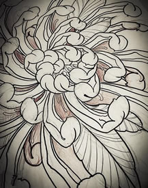 素描线条菊花纹身图案