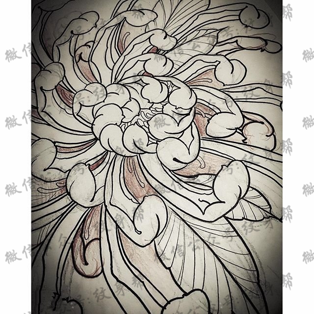 素描线条菊花纹身图案