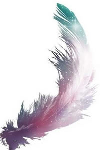 手稿唯美漂亮的羽毛纹身图案