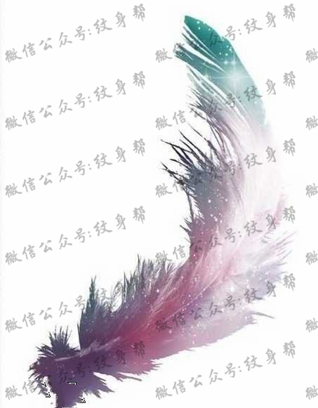 手稿唯美漂亮的羽毛纹身图案
