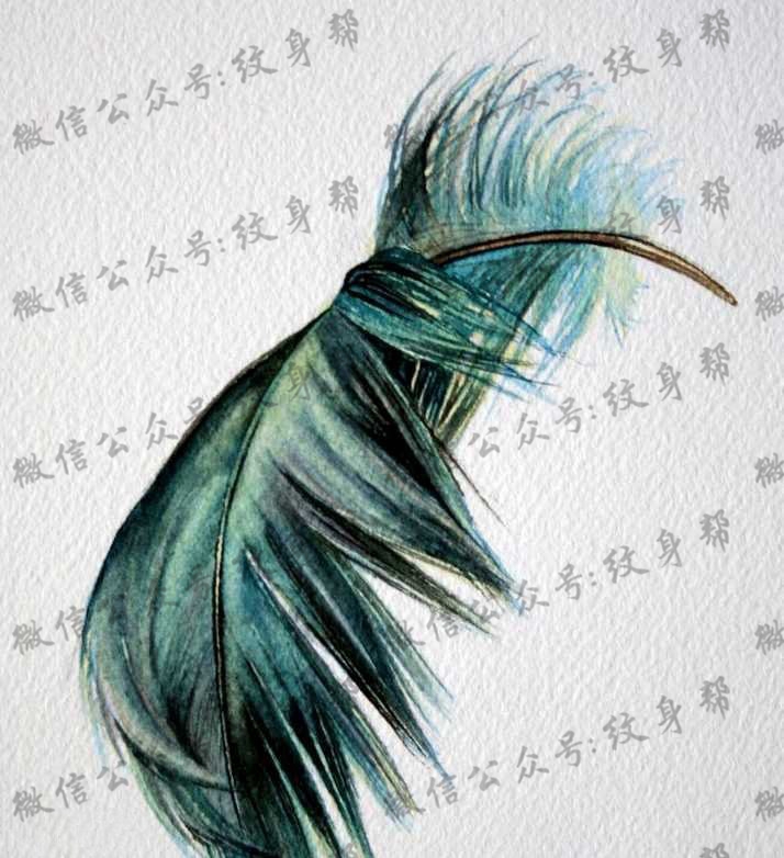 手稿唯美漂亮的羽毛纹身图案